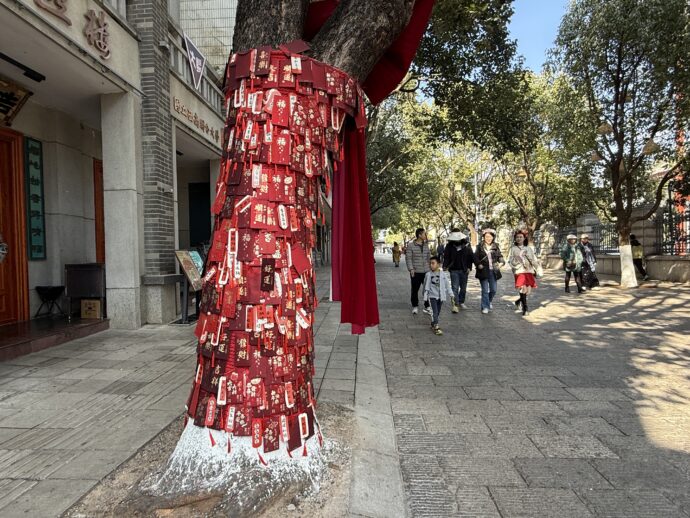 木に吊るされた札