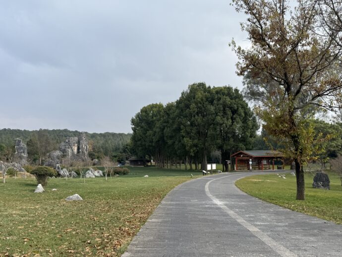 石林風景区の道