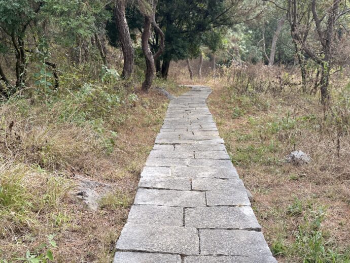 李子园箐景区の石畳の道