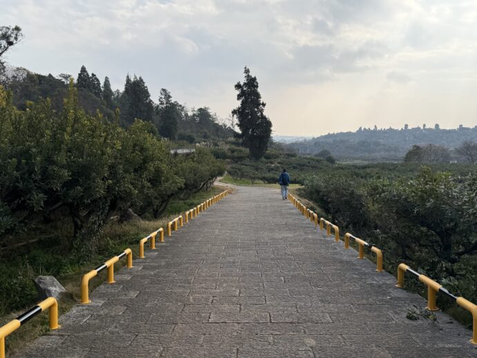 万年灵芝景区の道路