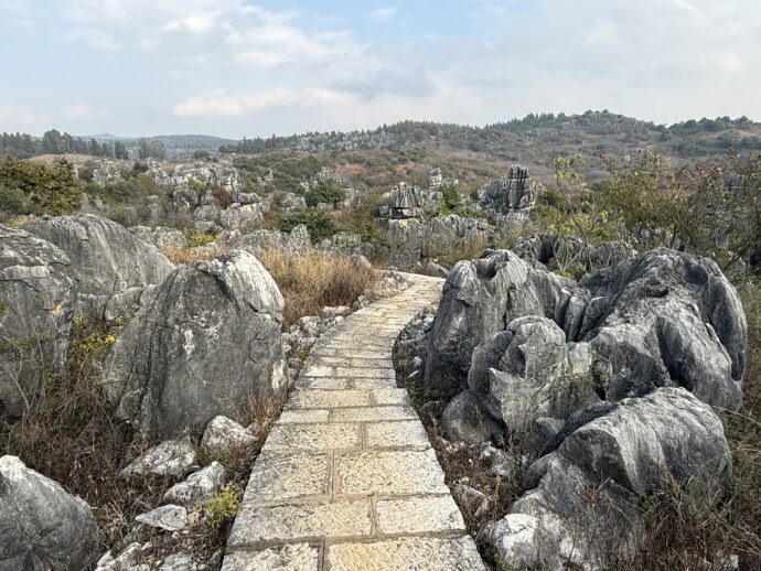 万年灵芝景区の道