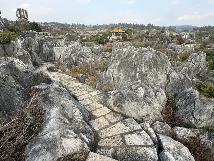 万年灵芝景区の道