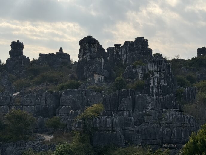 双亭からの眺め