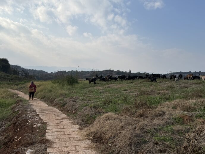 李子园箐風景区の道