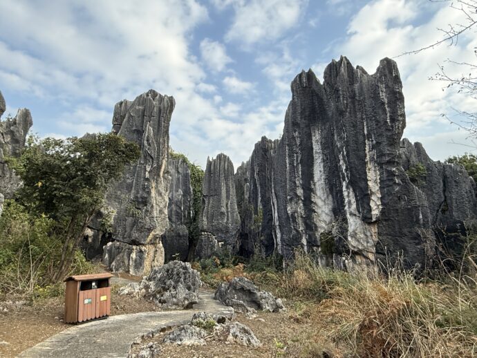 李子园箐風景区の石林