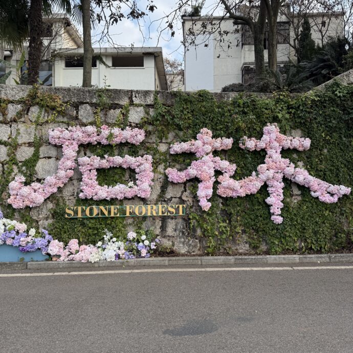 石林フォトスポット