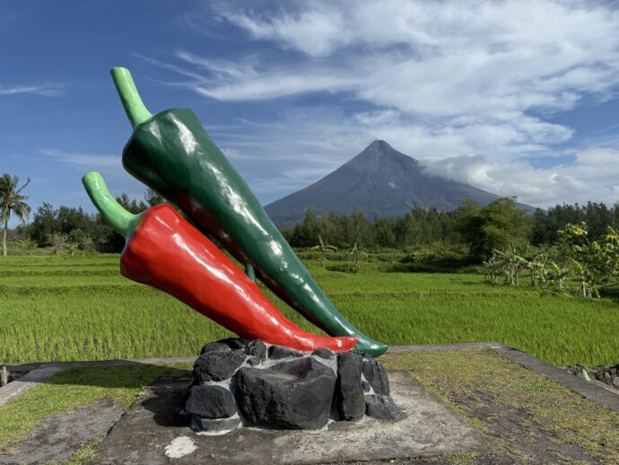 唐辛子のオブジェ