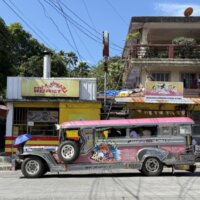 ピンクのジピニー