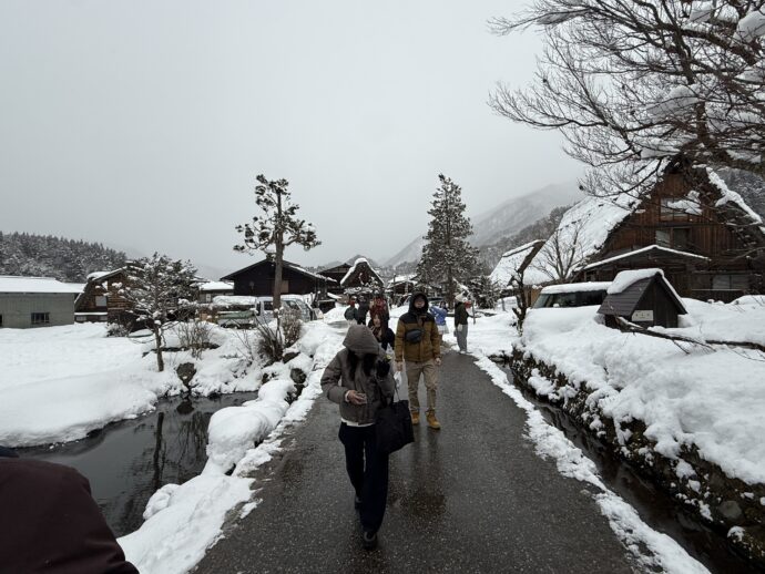 白川郷の道