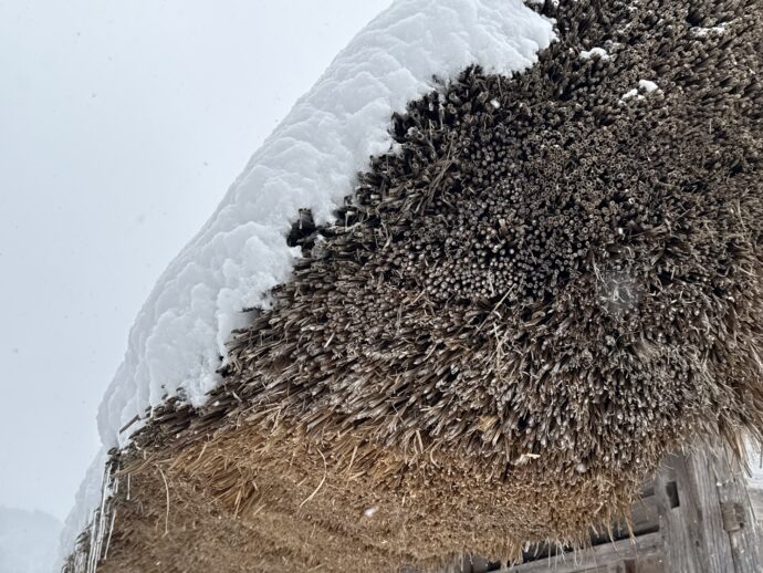 屋根に積もった雪