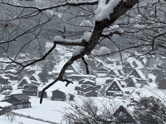 木々の合間に見える集落