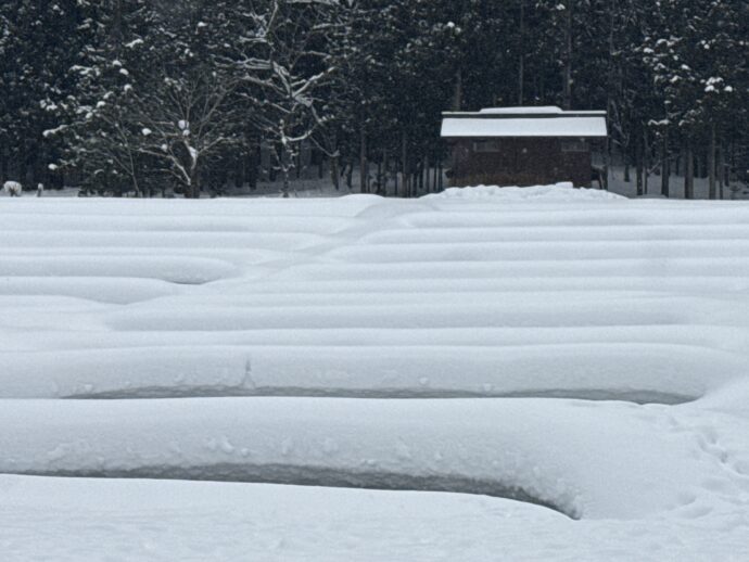 雪の畝