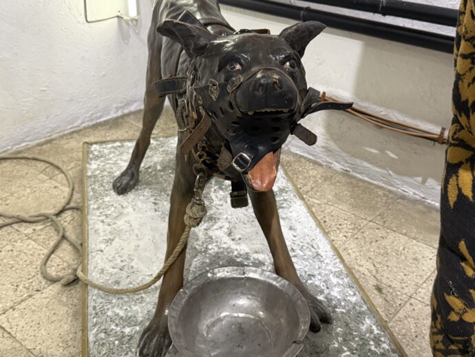 曲輪をはめられた犬