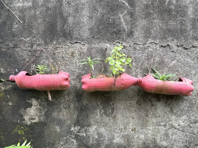 ペットボトル植木鉢