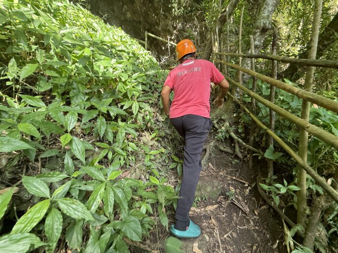 前を進むガイドさん