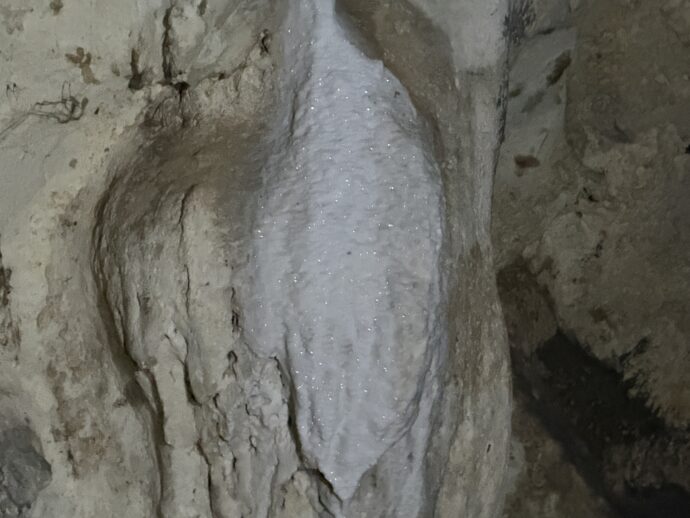 きらきらひかる推奨