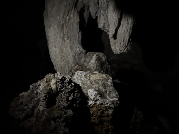 サンゴとつらら石