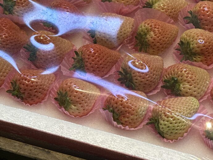 苺の販売