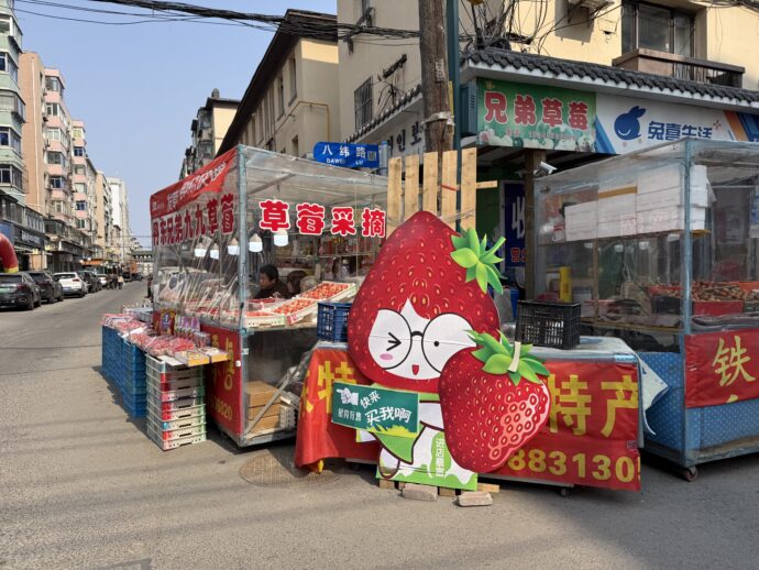 いちごの販売店