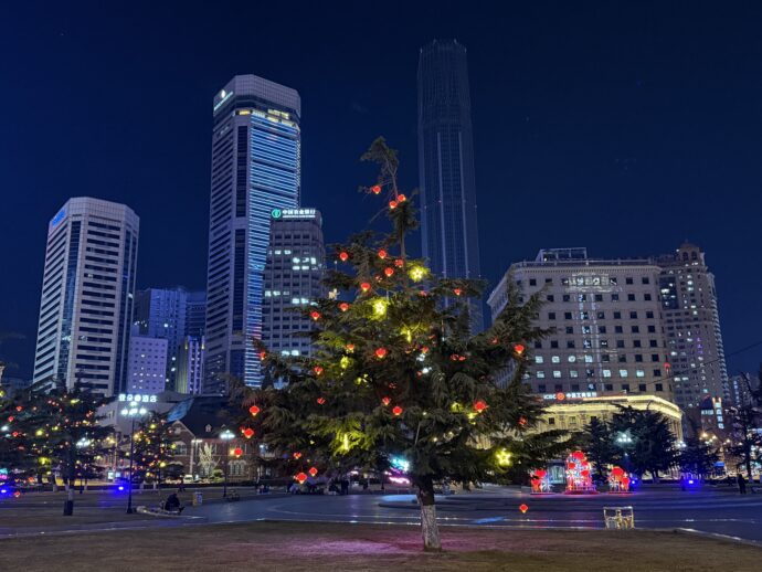 中山公園のツリー