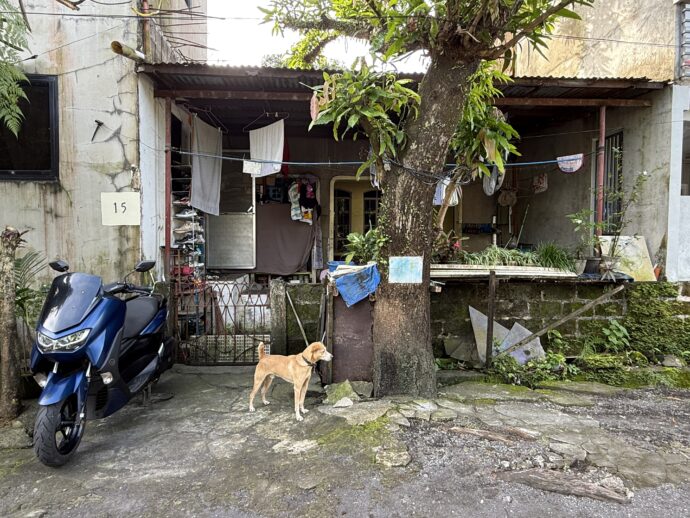 アルバイ地区の住宅