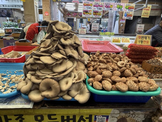 ヒラタケとしいたけ