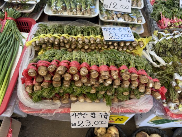 タラノメ