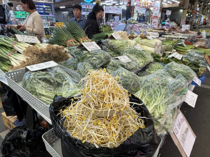 豆もやし