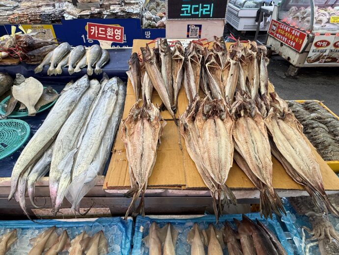 鮮魚と干物
