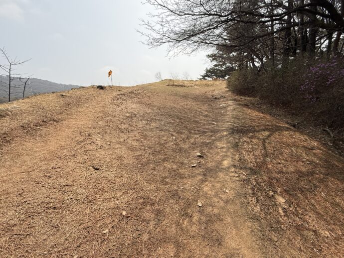 上党山城ハイキングコース