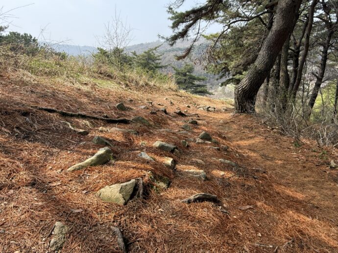 上党山城ハイキングコース