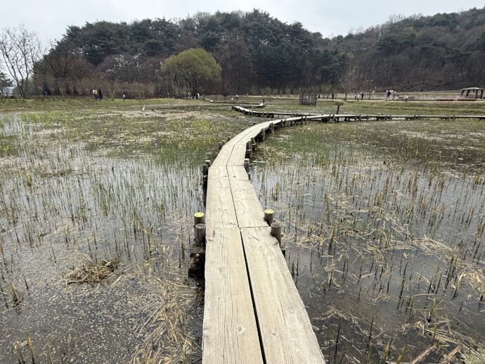 城内池の散策路