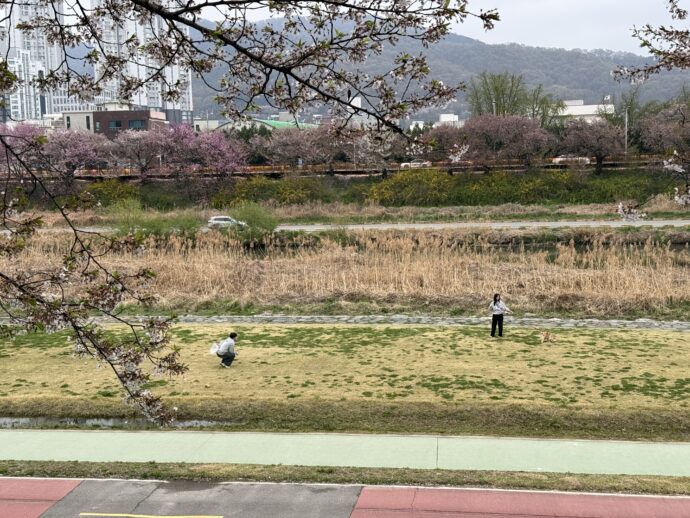 ムシム川ぞいの道