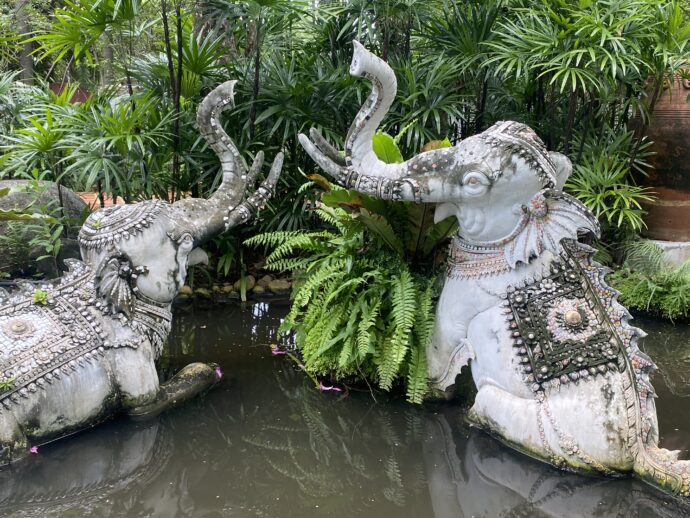 S白象のいるガーデン