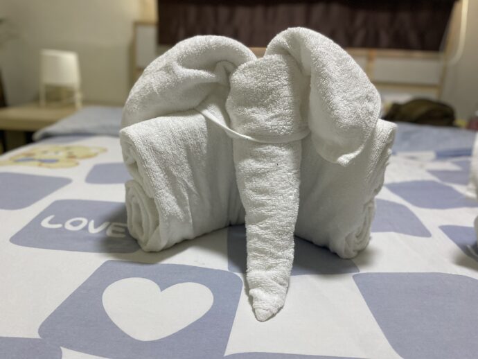 タオルがゾウさん